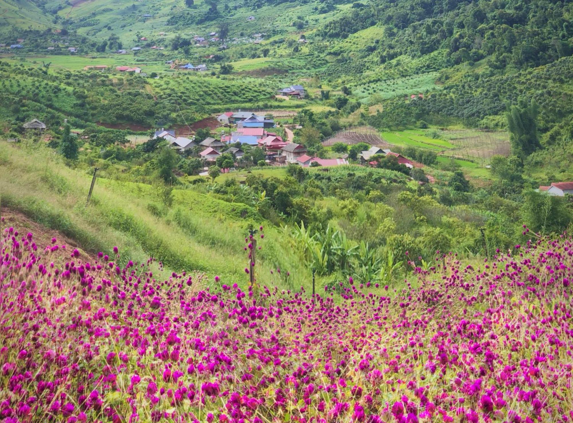 Muong Sang Farmstay Moc Chau Extérieur photo